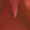kep10