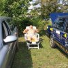 vwiw2011minafoto023