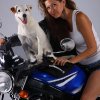 csam_0064