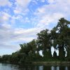 IMG_0410