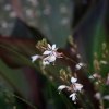 IMG_1676
