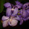 IMG_8197
