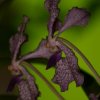 IMG_8226