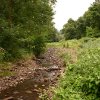 IMG_0001