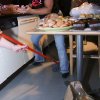 IMG_0906