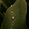 IMG_1128