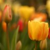 IMG_1157